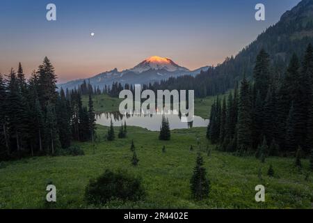 Monte Rainier dal lago di Tipsoo all'alba con la luna sullo sfondo Foto Stock