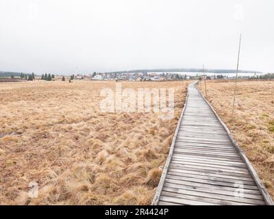 Sentiero in legno in torbiera nei pressi di Bozi Dar in mattina nebbiosa, Klinovec e Krusne hory. Montagne di minerale, Repubblica Ceca. Foto Stock
