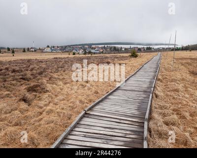 Sentiero in legno in torbiera nei pressi di Bozi Dar in Krusne hory. Mattina fredda e misteriosa, le Ore Mountains Foto Stock
