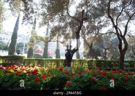 Particolare di un vaso nei Giardini Bahai sulle pendici del Carmel mouta Foto Stock