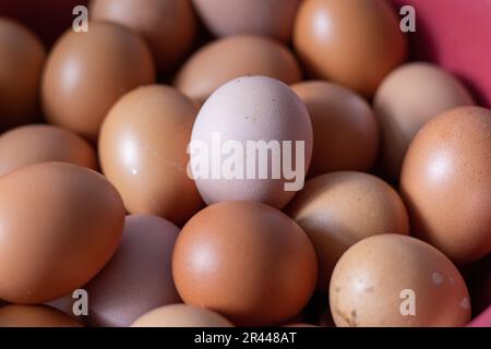 mucchio di uova crude con un fuoco su uova di colori differenti Foto Stock