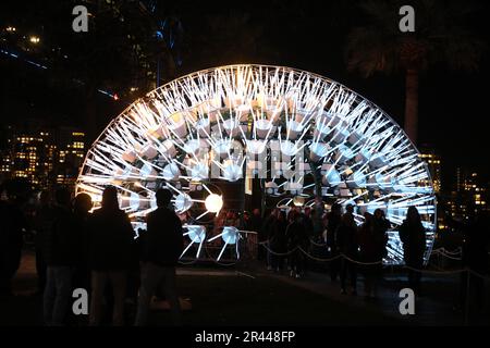 Sydney, Australia. 26th maggio 2023. Vivid Sydney è una celebrazione annuale di creatività, innovazione e tecnologia, che trasforma Sydney per 23 giorni e notti. Nel 2023, per il suo 13th° anno, Vivid Sydney fonderà arte, innovazione e tecnologia in collaborazione con alcuni dei più importanti artisti, pensatori, musicisti ed esperti culinari del nostro tempo. Il programma di luce, idee, musica e cibo si svolge dal 26 maggio al 17 giugno 2023. Nella foto: Dente di leone. Credit: Richard Milnes/Alamy Live News Foto Stock