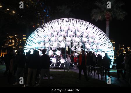 Sydney, Australia. 26th maggio 2023. Vivid Sydney è una celebrazione annuale di creatività, innovazione e tecnologia, che trasforma Sydney per 23 giorni e notti. Nel 2023, per il suo 13th° anno, Vivid Sydney fonderà arte, innovazione e tecnologia in collaborazione con alcuni dei più importanti artisti, pensatori, musicisti ed esperti culinari del nostro tempo. Il programma di luce, idee, musica e cibo si svolge dal 26 maggio al 17 giugno 2023. Nella foto: Dente di leone. Credit: Richard Milnes/Alamy Live News Foto Stock