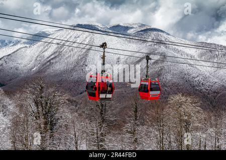 Cabinovia sullo sfondo di una foresta invernale di montagna Foto Stock