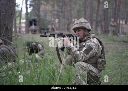 Soldati delle forze armate di UkraineÕs la fanteria regolare riceve un'intensa formazione medica da volontari della Fondazione Prytula. Gli istruttori della fondazione apprendono dagli esperti della formazione medica occidentale TCCC in stile NATO. I soldati della grande base militare simulano le condizioni in prima linea, vivendo nella foresta e scavando trincee per lunghi periodi di tempo. Foto Stock