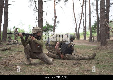 Soldati delle forze armate di UkraineÕs la fanteria regolare riceve un'intensa formazione medica da volontari della Fondazione Prytula. Gli istruttori della fondazione apprendono dagli esperti della formazione medica occidentale TCCC in stile NATO. I soldati della grande base militare simulano le condizioni in prima linea, vivendo nella foresta e scavando trincee per lunghi periodi di tempo. Foto Stock