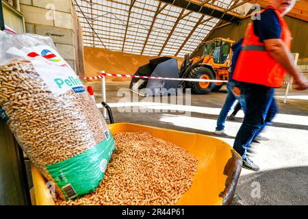 Grand-Couronne (Normandia, Francia settentrionale): Sito di TotalEnergies in cui le pellets di legno vengono messe in sacchi e caricate Foto Stock