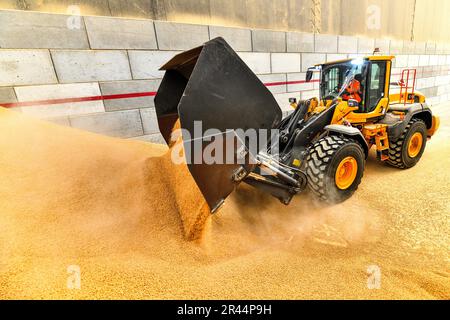 Grand-Couronne (Normandia, Francia settentrionale): Sito di TotalEnergies in cui le pellets di legno vengono messe in sacchi e caricate Foto Stock