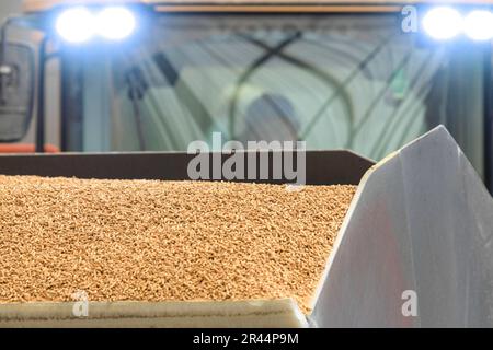 Grand-Couronne (Normandia, Francia settentrionale): Sito di TotalEnergies in cui le pellets di legno vengono messe in sacchi e caricate Foto Stock