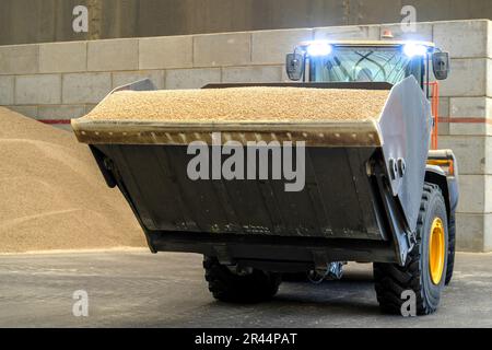 Grand-Couronne (Normandia, Francia settentrionale): Sito di TotalEnergies in cui le pellets di legno vengono messe in sacchi e caricate Foto Stock