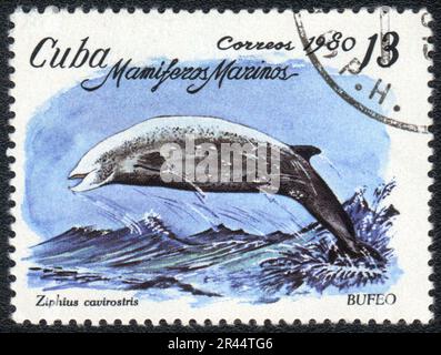 Un francobollo stampato A CUBA mostra la balena becco di Cuvier (Ziphius cavirostris), circa 1980 Foto Stock