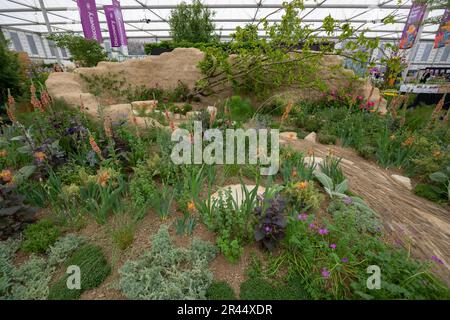 Royal Hospital Chelsea, Londra, Regno Unito. 22 maggio 2023. Tutto sulle piante, il giardino Choose Love nel grande padiglione progettato da Jane Porter. Credito: Malcolm Park/Alamy Foto Stock