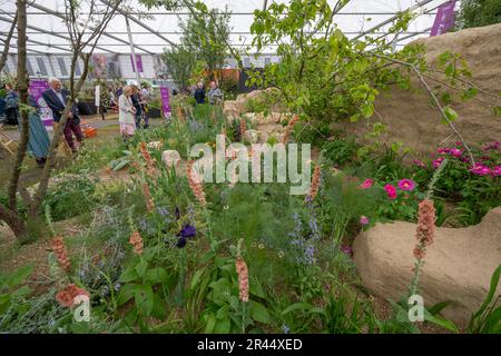 Royal Hospital Chelsea, Londra, Regno Unito. 22 maggio 2023. Tutto sulle piante, il giardino Choose Love nel grande padiglione progettato da Jane Porter. Credito: Malcolm Park/Alamy Foto Stock