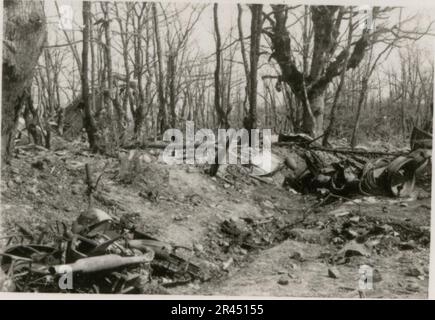 Gunter Alquen (Leibstandarte Adolf Hitler, Grecia 1941), fotografo delle SS, documentò atrocità naziste in Grecia durante la seconda guerra mondiale Il suo obiettivo catturò l'orrore e le sofferenze inflitte ai civili innocenti e ai combattenti della resistenza. Immagini di Sepp Dietrich, accompagnate da ufficiali, catturate in fotografie accanto a soldati, soldati greci e civili, campagna greca, edifici, operazioni di ponte sul pontile. Numerosi veicoli con simboli tattici, insieme alle conseguenze della distruzione: Edifici in rovina, veicoli, attrezzature. Conchiglie d'artiglieria e scene raffiguranti un conto dilaniato dalla guerra Foto Stock