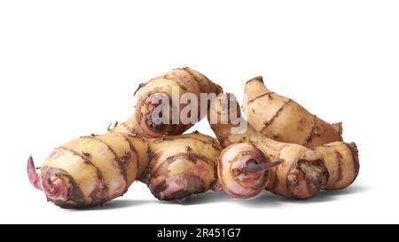 mucchio di razomi o tuberi di pianta di canna o di tiro indiano, canna indica, yam medicinale di valore nativo alle regioni tropicali e subtropicali isolate su bianco Foto Stock