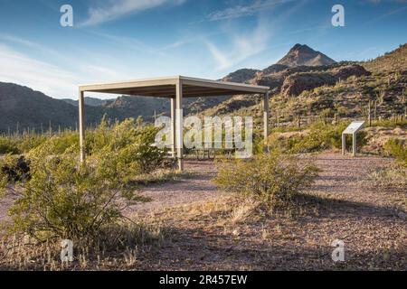 Panorami panoramici e strutture su Ajo Mountain Drive, deserto di Sonoran, Organ Pipe Cactus National Monument, Ajo, Lukeville, Arizona, Stati Uniti Foto Stock