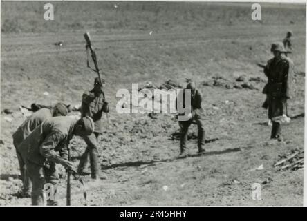 Augustin, Paul, fotografo SS della Leibstandarte Adolf Hitler. Eventi documentati in Olanda, Francia (1940) e Russia (1941-43). Prigionieri di guerra francesi, costruzione di ponti, equipaggio di armi anticarro, squadra di mitragliatrici, convogli di veicoli in strada e in città, fortezze belghe, prigionieri di campo di guerra, scene di distruzione, attività post-combattimento e di occupazione, addestramento e attività sportive, Hitler Youth e Bund Deutscher Mädel (Lega delle ragazze tedesche) attività sportive e spettacoli culturali, formazioni di unità e cerimonie, ospedale da campo, foto formali individuali e di gruppo, antiaerei leggeri Foto Stock