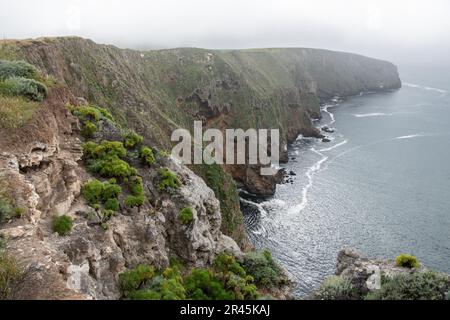 Le frastagliate scogliere costiere dell'isola di Santa Cruz parte del Parco Nazionale delle Isole del canale nella California Meridionale. Foto Stock