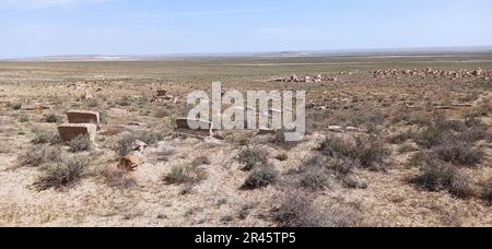 In Kazhstan mangystau bello e selvaggio nella terra Foto Stock