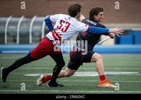 Toronto, Canada. 20th maggio, 2023. Il giocatore di Rush Oscar Stonehouse si chiude per un ultimo secondo passaggio prima dell'halftime sotto la pressione difensiva del giocatore di Breeze Jonny Malks, durante una partita Toronto Rush vs DC Breeze di Ultimate Disc League (AUDL), al Varsity Stadium, a Toronto, ON, Canada, Il 20 maggio 2023. (Graeme Sloan/Sipa USA) Credit: Sipa USA/Alamy Live News Foto Stock