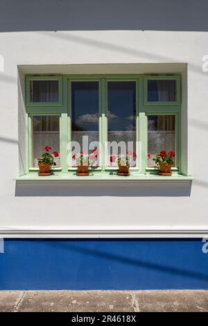 Finestra con fiori in vaso Foto Stock