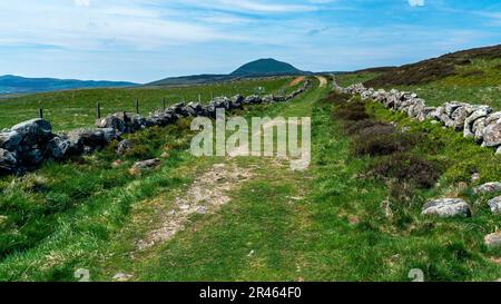 Una tortuosa strada sterrata si estende in lontananza, fiancheggiata da grandi rocce e erba verde, Scozia Foto Stock