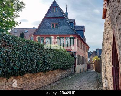 Una splendida foto della storica città di Eltville, Germania, situata sulle rive del fiume Reno Foto Stock