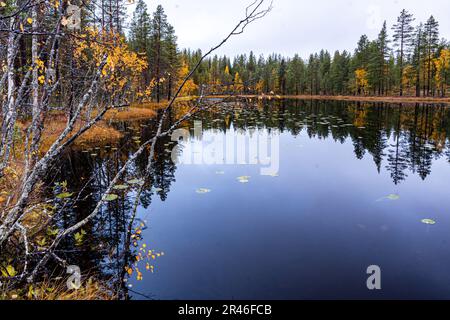 Una tranquilla scena autunnale caratterizzata da un laghetto circondato da vivaci fogliame Foto Stock