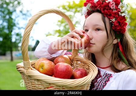 una giovane ragazza con i capelli lunghi in un grembiule tiene una ciotola di mele rosse. Tasto basso, fuoco sulle mele, sfondo sfocato. Il concetto di raccolto. Alta qualità Foto Stock