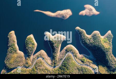 Un ampio fiume scorre attraverso il centro di una lussureggiante isola verde circondata da un lussureggiante fogliame Foto Stock