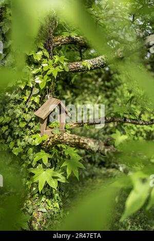 bella isolato fatto a mano nesting box in legno in un albero in primavera. bel colore verde tutto intorno. concetto di natura ed ecologia Foto Stock