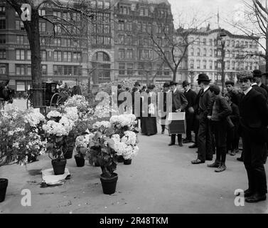 Mostra pasquale di vendor di fiori [sic] a Union Square Park, New York, tra il 1900 e il 1910. Foto Stock