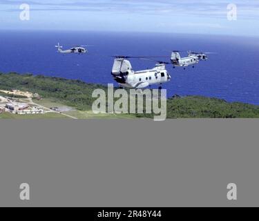 US Navy due UH-46 ''Sea Knights'' e due UH-60 ''Black Hawks' volano sopra Andersen come parte di una formazione di sei elicotteri durante l'addestramento di volo Foto Stock