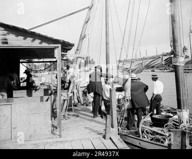 Miami, Florida, attracca il pesce lungo Miami, tra le 1900:1920 e le 17:00. Foto Stock