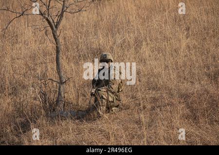 Un soldato della guardia nazionale dell'esercito dell'Oklahoma con la compagnia B, 1st battaglione, 179th reggimento di fanteria, 45th squadra di combattimento della Brigata di fanteria, cerca le minacce durante un esercizio di addestramento della squadra a Fort Riley, Kan., 25 marzo 2023. 45th soldati dell'IBCT hanno condotto una formazione di pre-mobilitazione in preparazione del loro prossimo spiegamento come Task Force Tomahawk a sostegno delle operazioni in tre paesi dell'Africa orientale. Foto Stock