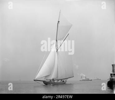 Shamrock i, 12 ottobre 99, 1899 ottobre 12. Shamrock era uno yacht da corsa costruito nel 1898 che fu il fallito sfidante irlandese per l'America's Cup 1899 contro il difensore degli Stati Uniti, Columbia. Foto Stock