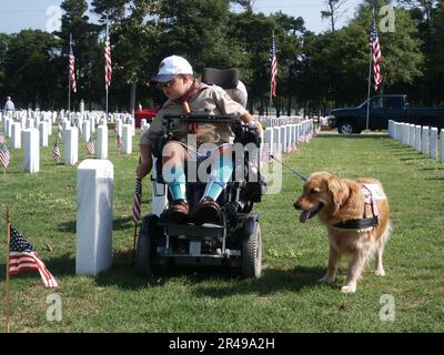 US Navy A Boy Scout mette una bandiera americana in un cimitero sul terreno del Barrancas National Cemetery Foto Stock