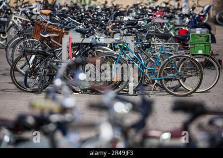 Lipsia, Germania. 25th maggio, 2023. Di fronte alla stazione ferroviaria principale si trovano innumerevoli biciclette. Nel 2022, circa 266.000 biciclette sono state rubate, secondo le statistiche della criminalità di polizia (PKS). Certo, questo è stato quasi il 14 per cento in più rispetto all'anno precedente. Ma se si osservano le cifre a lungo termine, si vede che a metà degli anni '1990s CE ne erano quasi il doppio di oggi (1994: Circa 530.000). (A dpa 'Ciclismo: Di selle cattive e caschi buoni') Credit: Jan Woitas/dpa/Alamy Live News Foto Stock