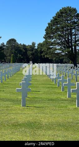 Uno scatto verticale di un cimitero con più file di croci in Normandia Foto Stock