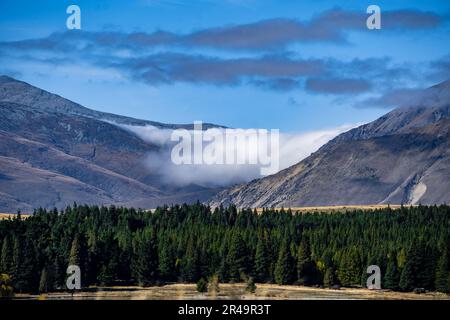 Un bellissimo scatto di montagne vicino a una foresta sulla riva del lago Tekapo Foto Stock