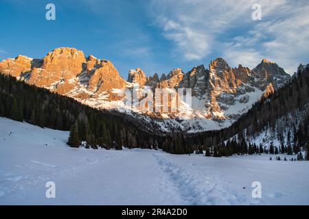 Una vista panoramica delle montagne rocciose coperte di neve con foreste nella valle Foto Stock
