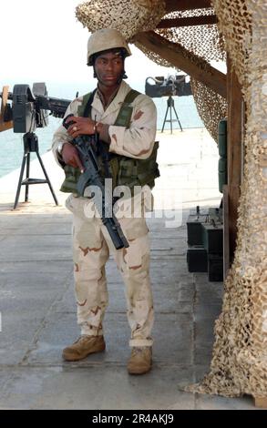 US Navy Un Sailor assegnato alla forza di sicurezza mobile distacco due (MSD-22) stand guardare a bordo di al Basrah Oil Terminal (ABOT) Foto Stock