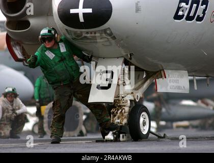 US Navy Aviation Boatswain's Mate Foto Stock
