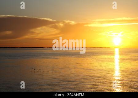 Immergiti nelle affascinanti sfumature di un tramonto mozzafiato sulle Amazzoni, dipingendo il cielo e riflettendo la sua bellezza sulle serene acque del fiume Foto Stock