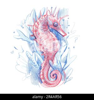 Cavallo di mare rosa con spruzzi d'acqua isolato su sfondo bianco. Grafica a matita disegno a mano realistico disegno subacqueo illustrazione per poster, banne Foto Stock