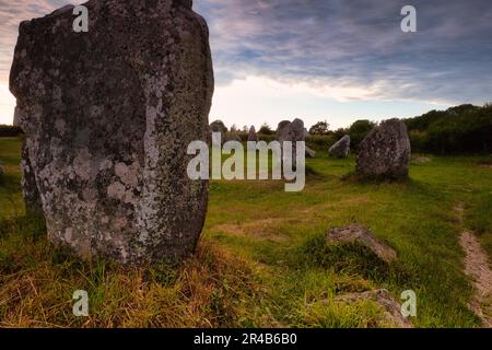 File di pietra megalitica da Kerzerho, comune di Erdeven, dipartimento di Morbihan, Bretagna, Francia Foto Stock