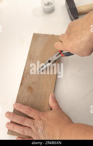 Primo piano delle mani di una donna che tira un chiodo fuori da un asse di legno con un paio di pinze Foto Stock