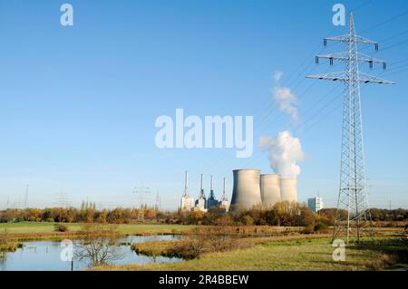 Gersteinwerk, RWE Power AG, riserva naturale Tibaum, Stockum-Werne, Renania settentrionale-Vestfalia, Germania, centrale elettrica a ciclo combinato, carbon fossile, gas naturale Foto Stock