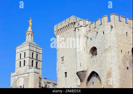 Palazzo Papale e Cattedrale di Notre-Dame des Doms, Avignone, Vaucluse, Provenza-Alpi-Costa Azzurra, Francia meridionale, Palais des Papes Foto Stock