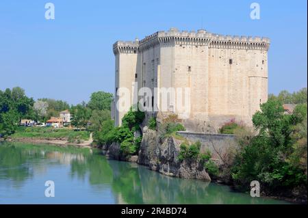 Castello Tarascon al Rodano, Tarascon, Bocche del Rodano, Provenza-Alpi-Costa Azzurra, Francia meridionale, Chateau Royal de Tarascon, Chateau du Roi Rene Foto Stock